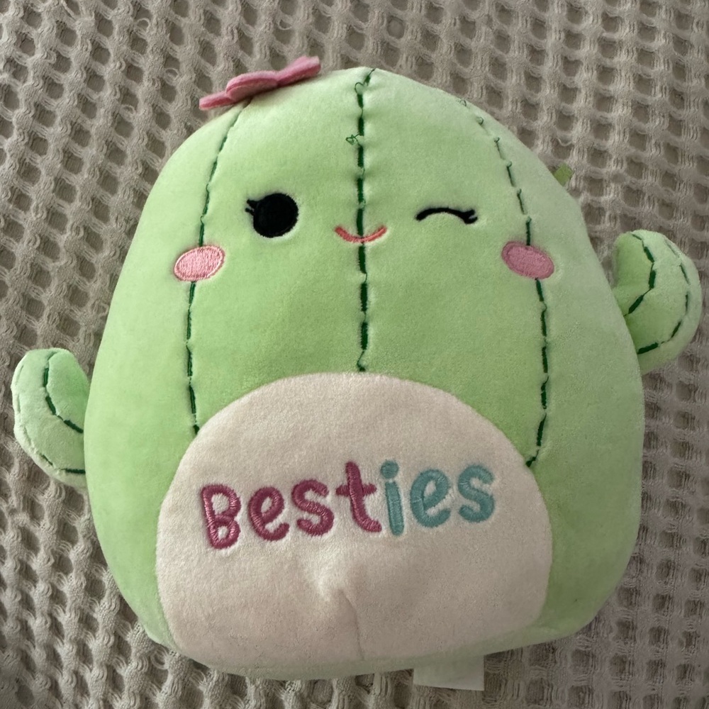 Squishmallows Cactus!!